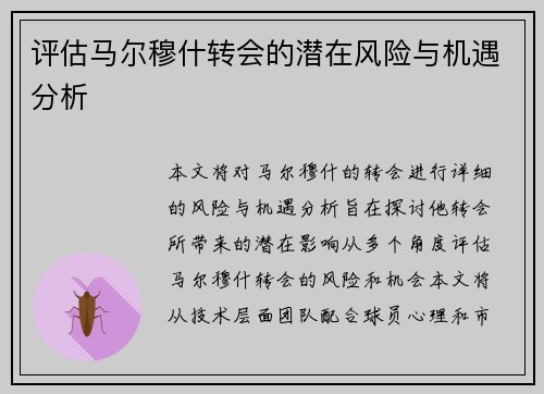 评估马尔穆什转会的潜在风险与机遇分析