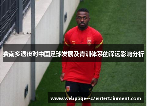 费南多退役对中国足球发展及青训体系的深远影响分析 费南多退役对中国足球发展及青训体系的深远影响分析